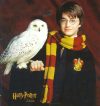 Harry Potter – Prophet, Influencer?