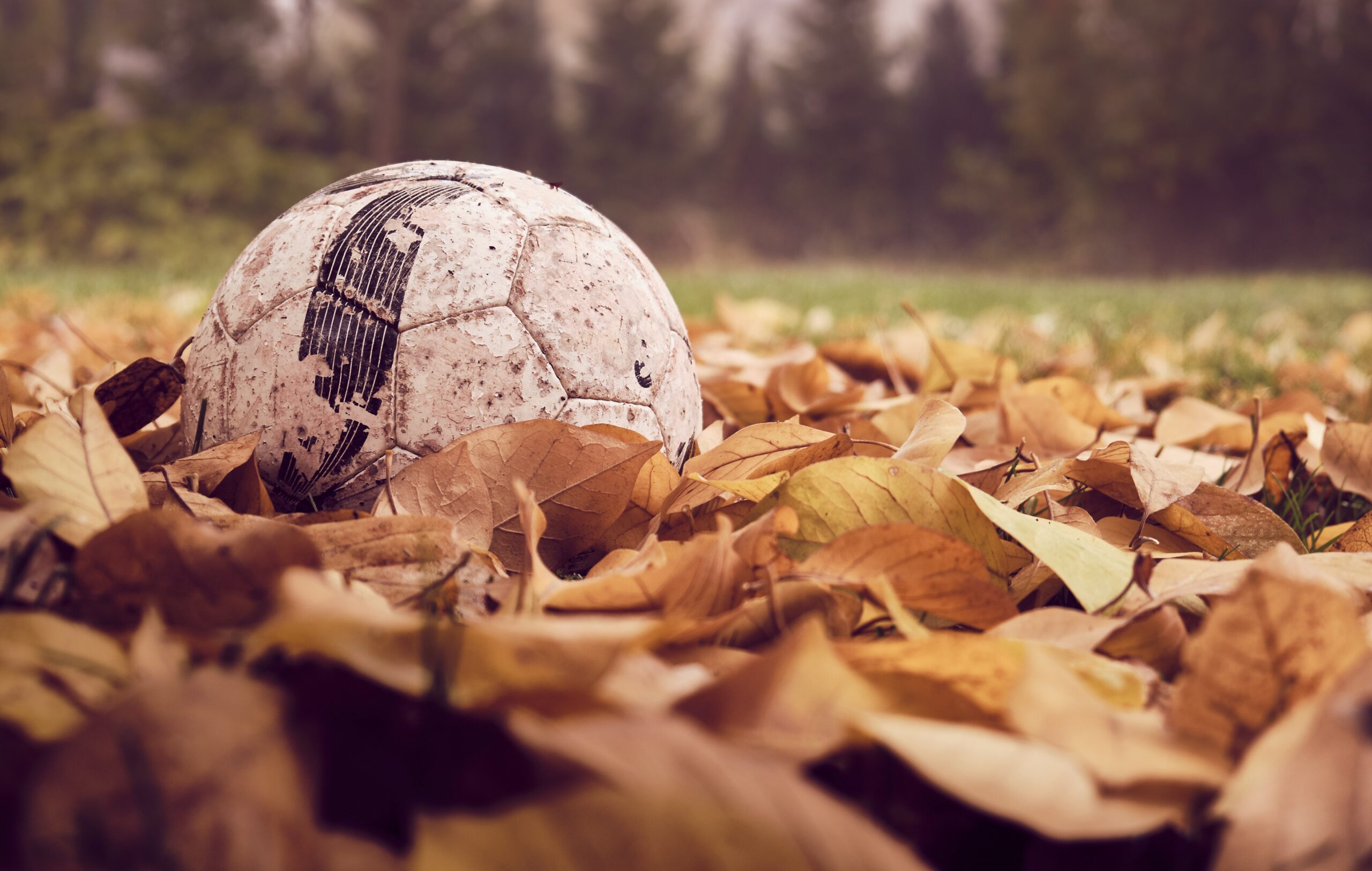 Featured image for “Chilled gathering or the World Cup”